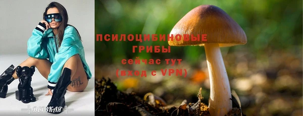mdpv Алексин